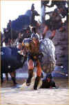 achille2.jpg (27033 octets)