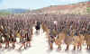 arme.jpg (86697 octets)